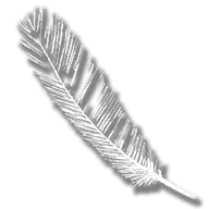 provision_crow_feather