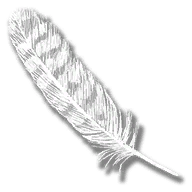 provision_hawk_feather