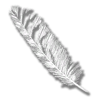 provision_owl_feather