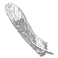 provision_parrot_feather