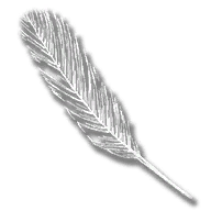 provision_raven_feather