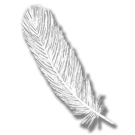 provision_whooping_crane_feather