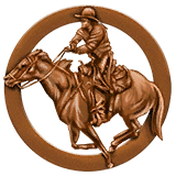 medal_bronze