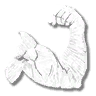emote_action_flex