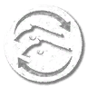 emote_gunspin_dual