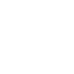awards_belt